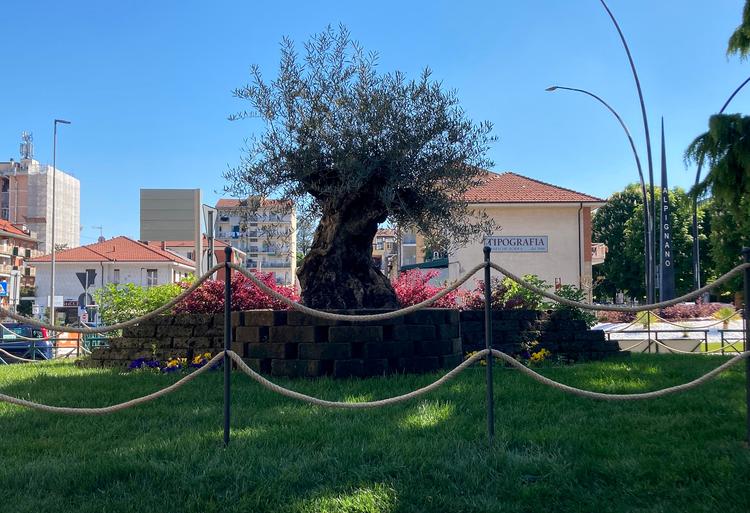 Recinzione in corda per giardinetti