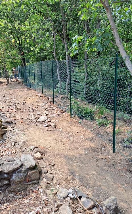 Villa Romana: Un sito archeologico da proteggere