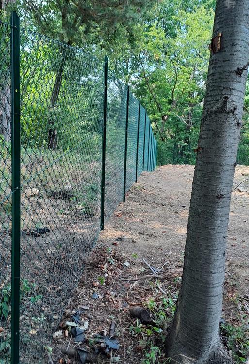 Villa Romana: Un sito archeologico da proteggere