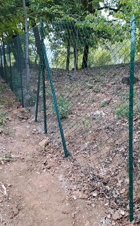 Villa Romana: Un sito archeologico da proteggere