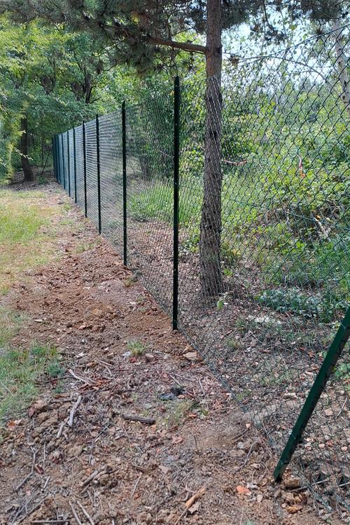 Villa Romana: Un sito archeologico da proteggere