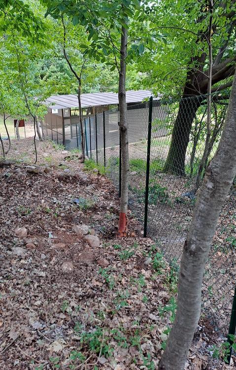 Villa Romana: Un sito archeologico da proteggere