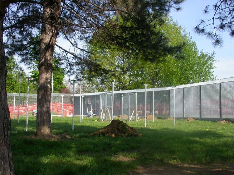 Gattile Piazza D'Armi