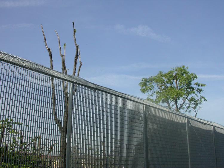 Gattile Piazza D'Armi