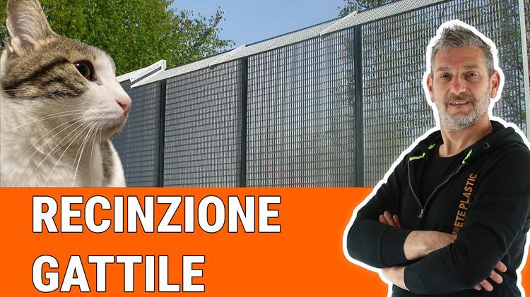 Nuovo video: Come abbiamo realizzato il gattile Comunale