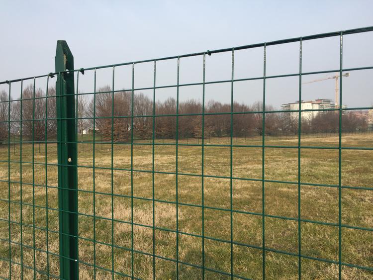 Area cani