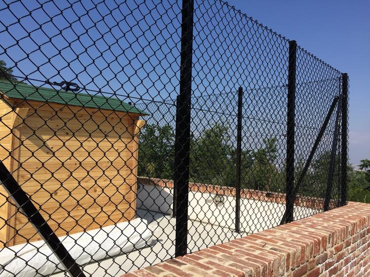 Prestigiosa villa di Torino: Cuccia cani e pollaio