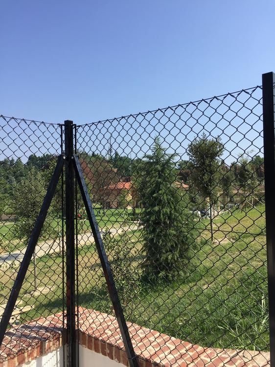 Prestigiosa villa di Torino: Cuccia cani e pollaio