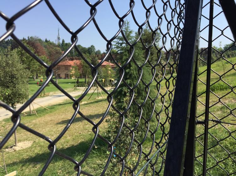 Prestigiosa villa di Torino: Cuccia cani e pollaio