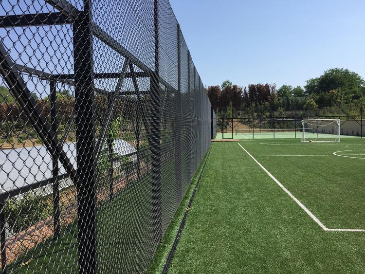 Prestigiosa villa di Torino: Campi sportivi