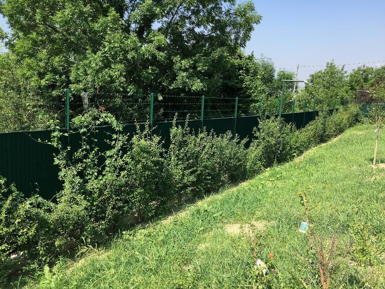 Prestigiosa Villa di Torino: Recinzione perimetrale