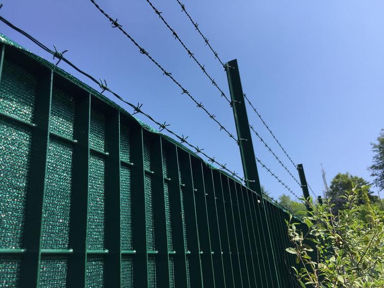 Prestigiosa Villa di Torino: Recinzione perimetrale