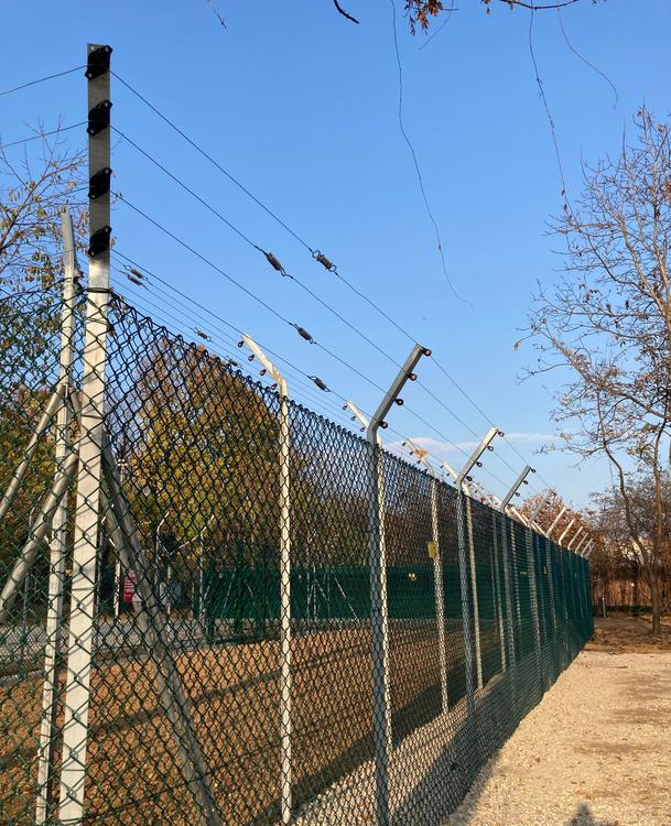 Gabbia volatili e carnivori