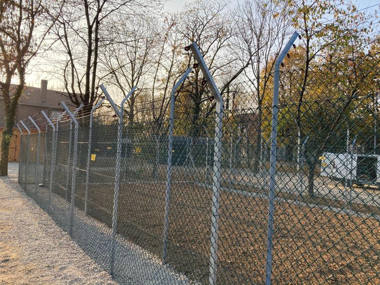 Gabbia volatili e carnivori