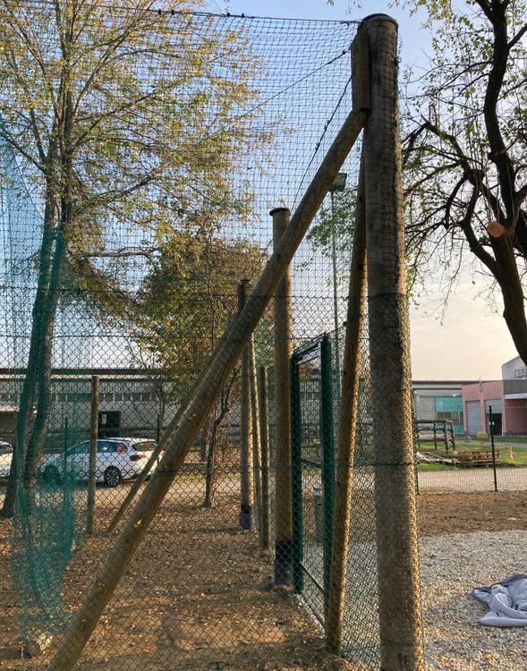 Gabbia volatili e carnivori