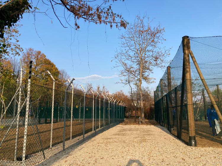 Gabbia volatili e carnivori