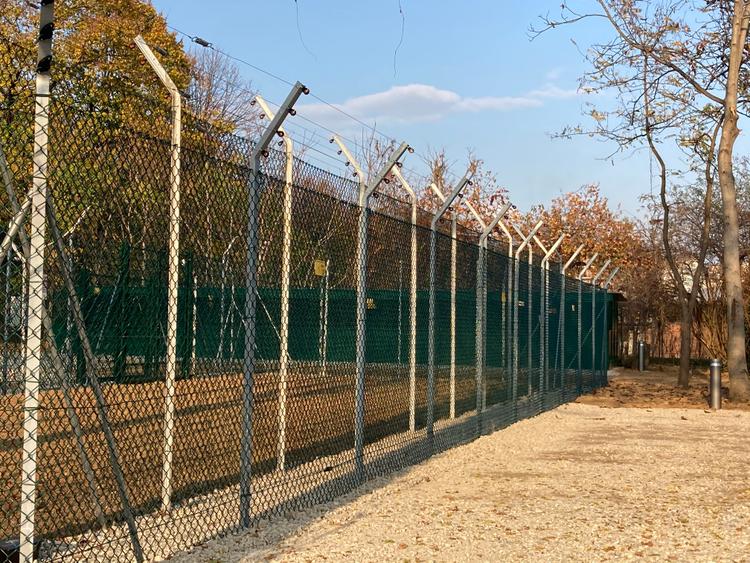 Gabbia volatili e carnivori