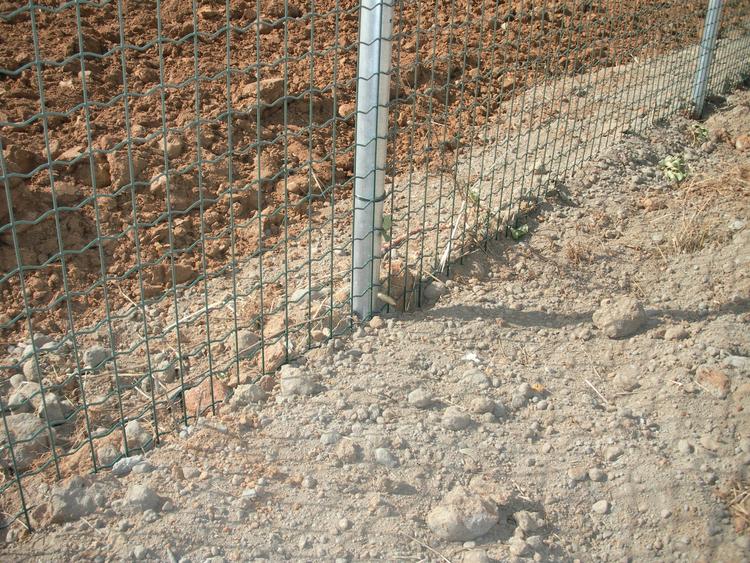 Recinzione in rete elettrosaldata Overplax