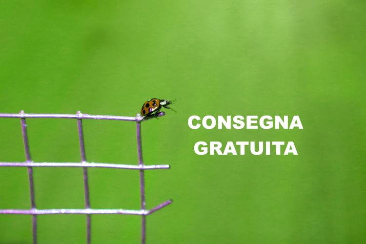 Spedizione gratuita in tutta Italia su FenceShop: da 250 € in su, conviene di più!