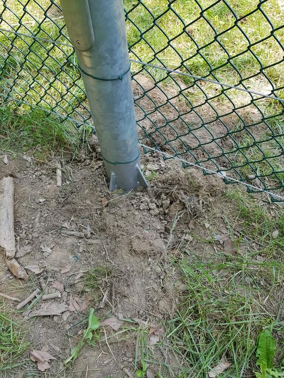 Il vento distrugge, la Rete Plastic aggiusta