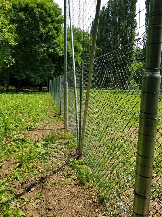 Il vento distrugge, la Rete Plastic aggiusta