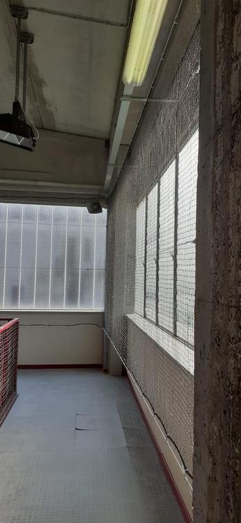 Protezione vetrate palestra