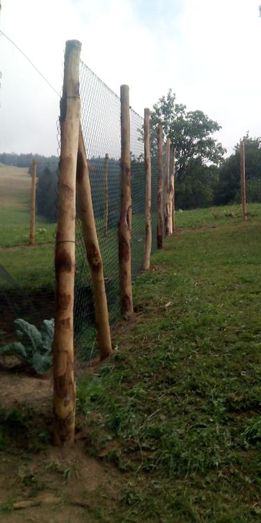 Recinzione montana con pali in castagno