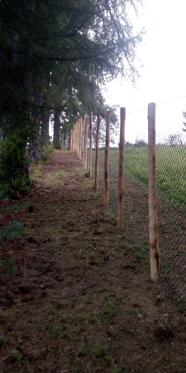Recinzione montana con pali in castagno