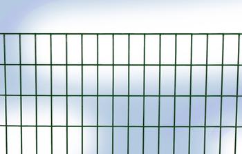 Esaplax 50x25: La rete da recinzione adatta per i cani