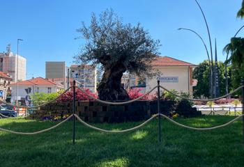 Recinzione in corda per giardinetti