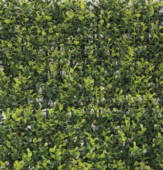 Divy Buxus: Siepe sintetica componibile