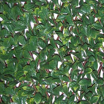 Divy X-Tens Osmanthus: Siepe sintetica su traliccio in salice