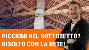 Ultimo nuovo video: Come abbiamo risolto un'invasione di piccioni nel sottotetto con una rete