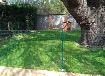 Piccola area cani in giardino