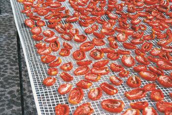 Food Net: Rete essiccazione alimenti