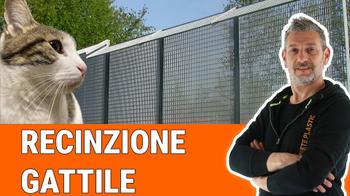 Nuovo video: Come abbiamo realizzato il gattile Comunale