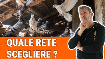 Nuovo video: Quale rete usare per proteggersi dai piccioni