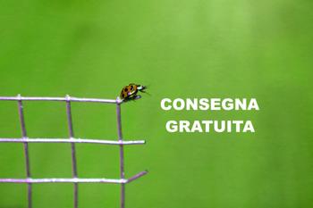 Spedizione gratuita in tutta Italia su FenceShop: da 250 € in su, conviene di più!